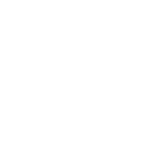 mcw-1.icon